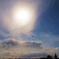Sun and skies